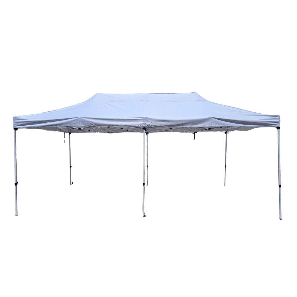 Toldo Americano Automatico Reforzado 3x6